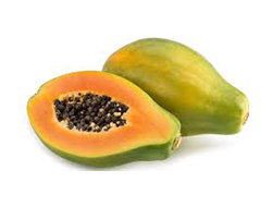 coco peat